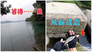 日月潭岸拋沉底測試與愛蘭橋下溪釣