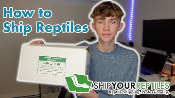 How to Ship Live Reptiles! | Ship Your Reptiles Tutorial