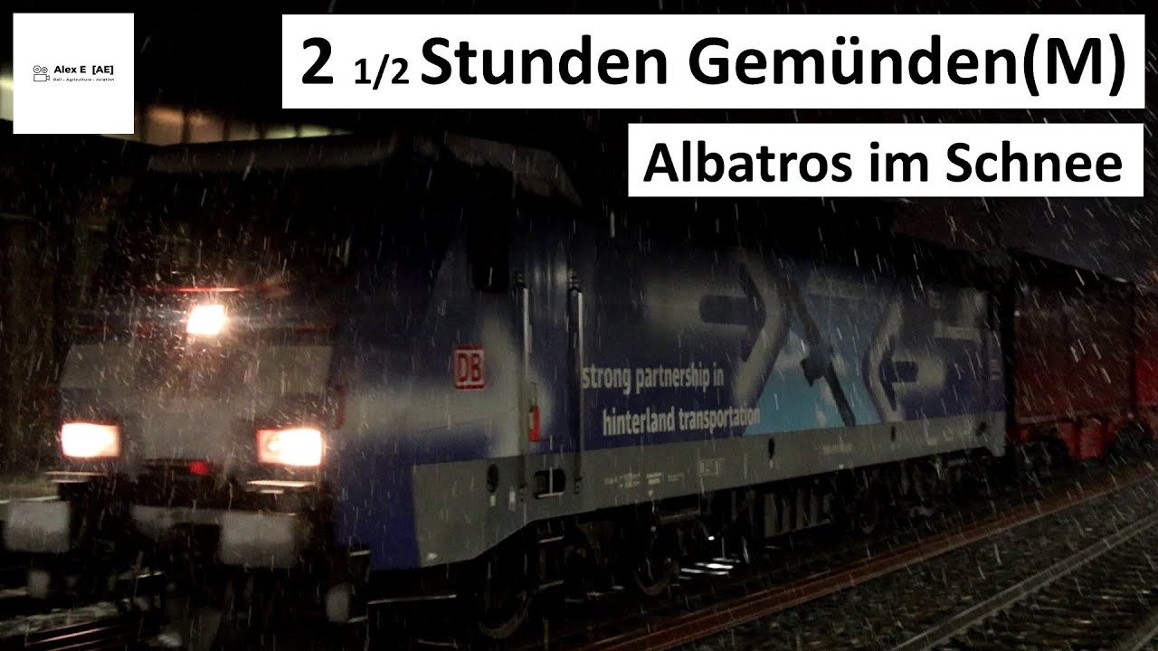 Albatros im Schnee | 2,5h Zugbetrieb in Gemünden(M)  |  Alex E