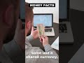 Money Facts 15 |How to Earn Money Online | Moneyable