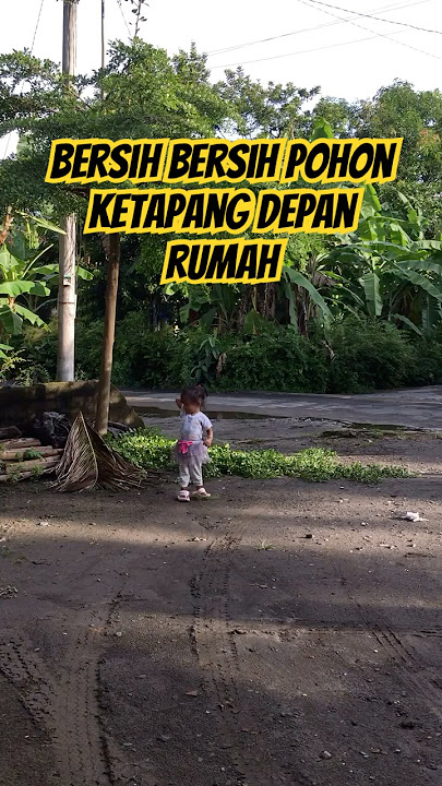 Minggu produktif tebang pohon depan rumah 😁 #shorts