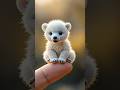 Indian best cute animals #ytshorts #cute #funnyanimal #ytshorts #funny #cat #dog #duck #tiger #goat