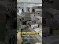 Mask Robotic Material Sorting and Cartoning Machine ④ Smoothing Mechanism