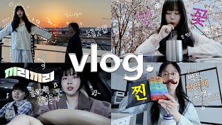 벌써 4월이라니! 최근 일상모은 vlog.zip🌸 (성수나들이&노을맛집/선물 언박싱🎁/클래식보고 홍대🎵/요즘 먹는 영양제 추천💊) 맨날 먹고 걷고🐷🚶🏻‍♂️ #요즘우린