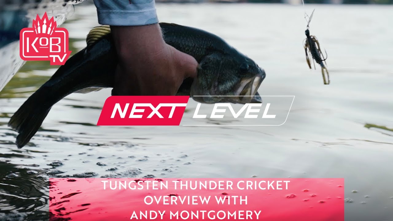 Tungsten Thunder Cricket Overview with Andy Montgomery [NEXT LEVEL