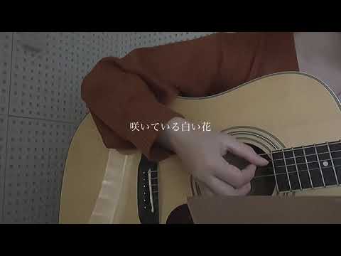 【風音カバー】 涙 / 崎山蒼志