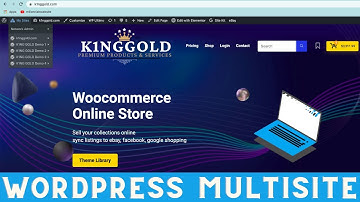 How i build an online business using wordpress multisite | Millennials Website