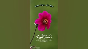 ( والعصرإن الإنسان لفي خسر)  _ سورة العصر كاملة   🌹🌹  #قران_كريم #quran #سورة_البقرة #سورة