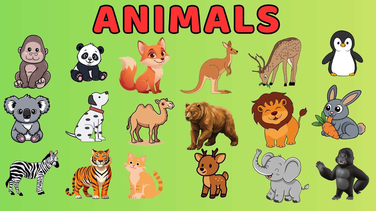 20 Animals Names for Kids | Animals Names for baby