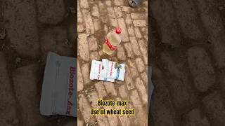 Biozote max wheat seed pe use karny ka tareeka #wheat #biozotemax #biozote #seedling #jodhpur