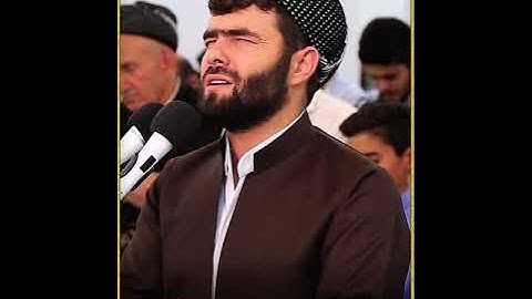 سورة القيامة بصوت الشيخ قادر الكردي