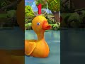एक छोटा बतक #duck #ducks #nurseryrhymes #shorts #haryanvi #fivelittleducks #rhymes #kids