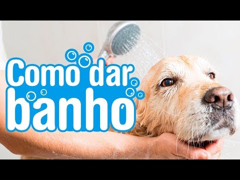 Vídeo: Lavando o cachorro? Tente ir natural