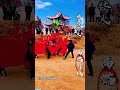 #The passionate aesthetic of Chinese lion dance is simply amazing#Cultural and Natural Her
