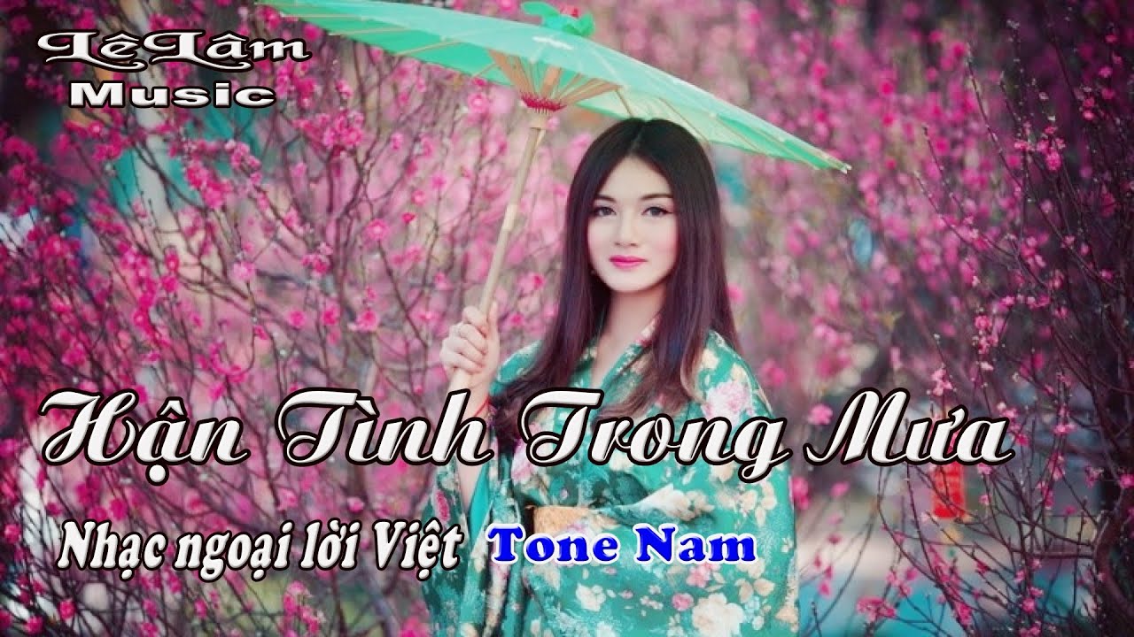 Karaoke - HẬN TÌNH TRONG MƯA Tone Nam | Lê Lâm Music