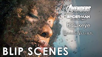 Blip scenes | Avengers: Endgame, Spider-Man: Far from Home, Wandavision and Hawkeye