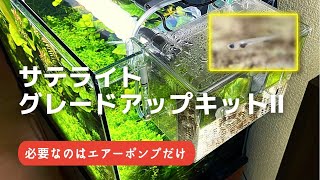 【真冬のメダカ室内繁殖２】サテライトでメダカ稚魚を育てる