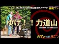 ゆけ!!力道山-サザンcover-(のでぃwithまこつ 2025.5.11)