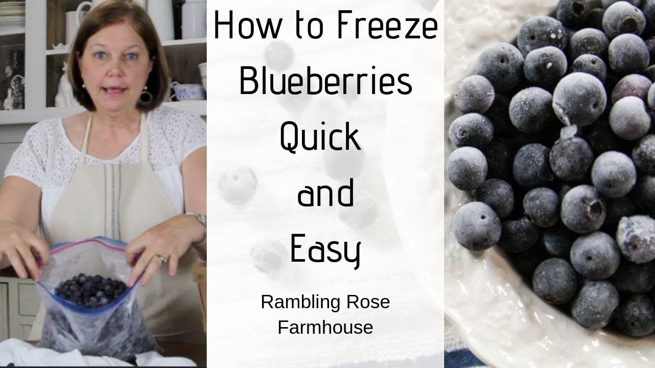 The Quick and Easy Way to Freeze Blueberries YouTube