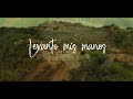 Samuel Hernández- Levanto Mis Manos Arpa (Video Lyrics)