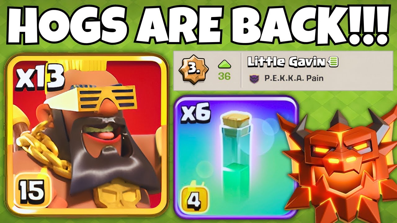 Super Hogs are INSANE Again with their NEW LEVEL! 🥳🎊