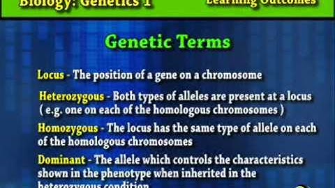 Genetic Terms
