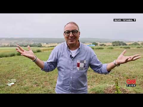 Video: Sağlıklı Toprak İnşa Etmek: Sürdürülebilir Bahçeler İçin Toprağı Nasıl Beslersiniz