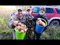 Осенний Сбор Грибов: ПодБерёзовики, ПодОсиновики, Грузди и т.д! Вторая Волна - Отличный Улов!!!