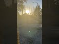 Beautiful Sunset in Miami #explore #sunset #miamivlog #jamaican #nature