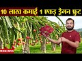 Dragon Fruit Farming | 10 लाख Per acre | New agriculture Business | new kheti | Best income Farming