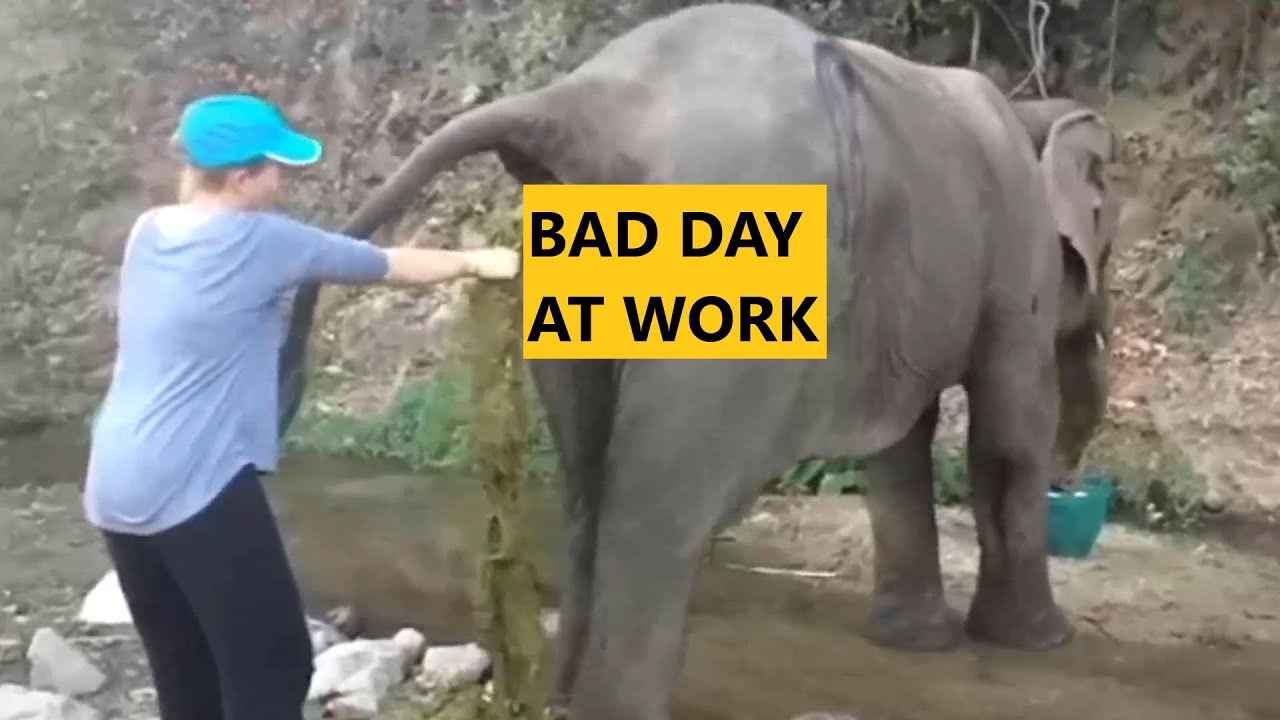 Bad Day at Work...? 2020 Part 16 - Best Funny Work Fails and Wins