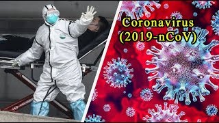 ✅#Coronavirus (2019-Ncov) Профилактика И Меры Предосторожности.