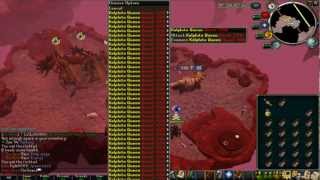 [RSPS Matrix] Developer's / Admin's Power (Dragonkk)