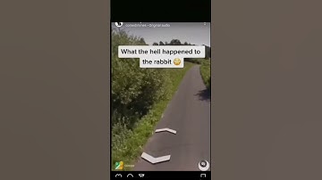 glitch in the matrix? #shortsvideo #strange #googleearth #shorts