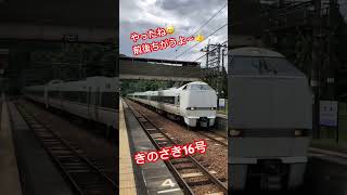 よっしゃ〜‼️【きのさき16号】ラッキー✨#jr西日本 #きのさき#287系 #289系 #287 #289 #立木駅#jr特急#鉄道#鉄道好き#鉄道の旅 #鉄道ファン#京都#山陰本線 #山陰特急