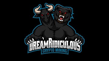 How To Fix Raptoreum Mining Stops With Latest HiveOS Update