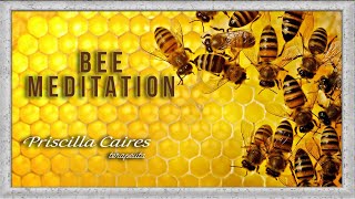 Bee Meditation - Spirit Animal Guide