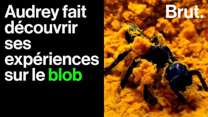 Science & Jeu Laboratoire - La Biosphère (52343) 