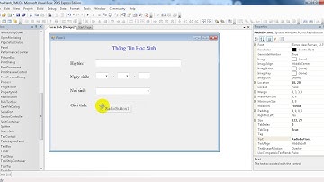 6 VB.NET Groupbox Va RadioButton