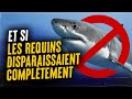 ET SI ON TUAIT TOUS LES REQUINS SUR TERRE ?