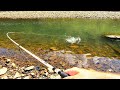 RattleSnake Surprise!! While Bank Fishing Ocoee River