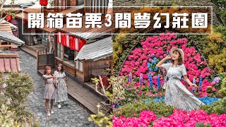 📍好想去苗栗｜不出國也能拍小京都街！繡球花季開跑、唯美玻璃屋喝下午茶，入住超美精油城堡🏰