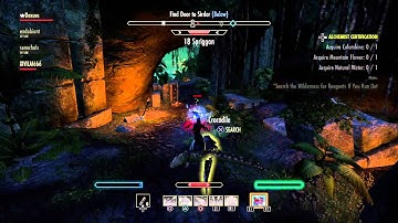 The Elder Scrolls Online: Tamriel Unlimited random macro test