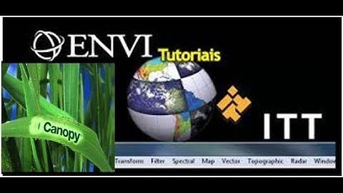 Remote Sensing LAI estimation using  NDVI with improved audio