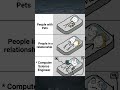 CS #computerscience #coding #programming #techonology #memes