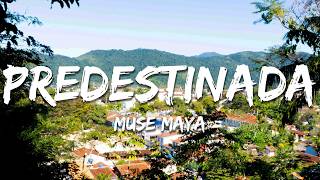 Muse Maya - PREDESTINADA (Letra/Lyrics)