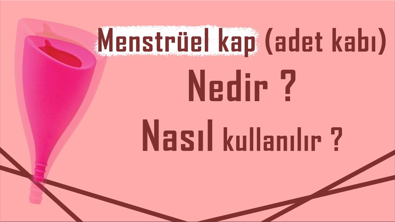 menstruel kap adet kabi nedir nasil kullanilir maket uzerinde anlattim youtube