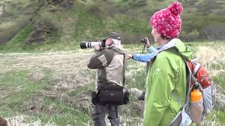 Bear Viewing-Kodiak Raspberry Island Remote Lodgew.mov