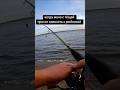 из цикла Основано на реальных событиях 🤣 #рыбалка #fishing #приколы