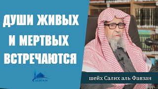 Души живых и мертвых встречаются в барзахе. (Шейх Салих аль-Фавзан)